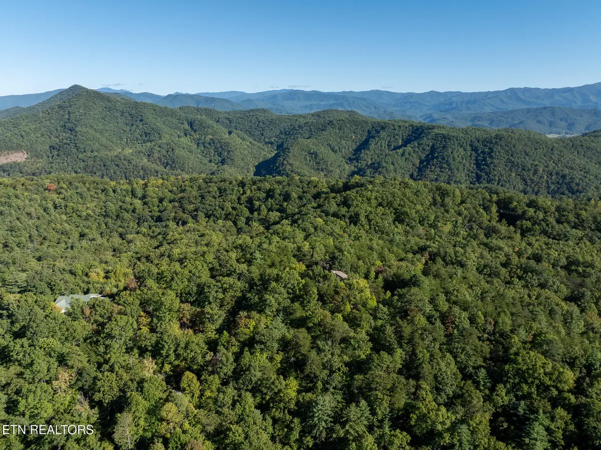 0 Walnut Flats Rd, Walland, TN 37886 - #1