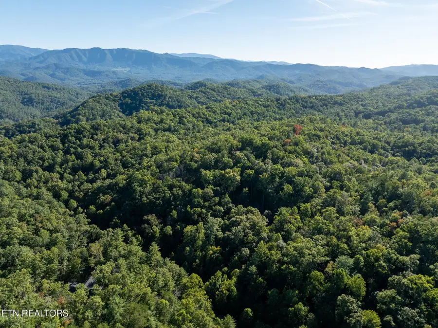 0 Walnut Flats Rd, Walland, TN 37886 - #2