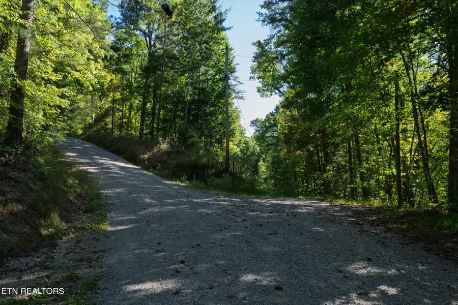 0 Walnut Flats Rd, Walland, TN 37886 - #3