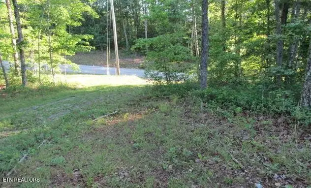 0 Green Ridge Tr, Harriman, TN 37748 - #2