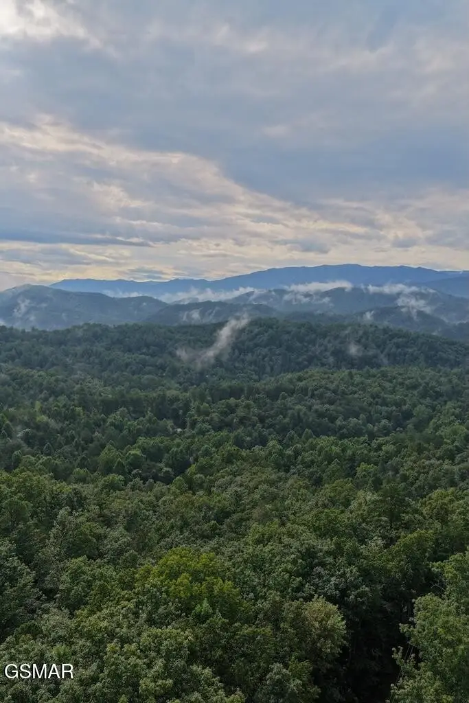 0 Shady Oaks Way, Sevierville, TN 37876 - #3