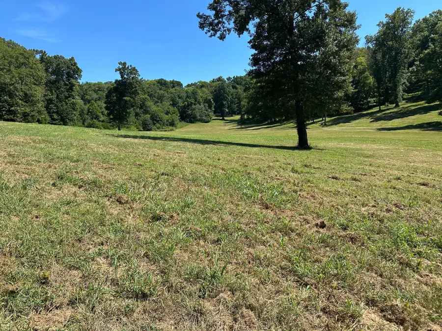 6414 Peytonsville Arno Rd, College Grove, TN 37046 - #2