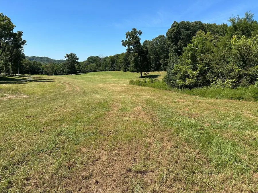 6414 Peytonsville Arno Rd, College Grove, TN 37046 - #3