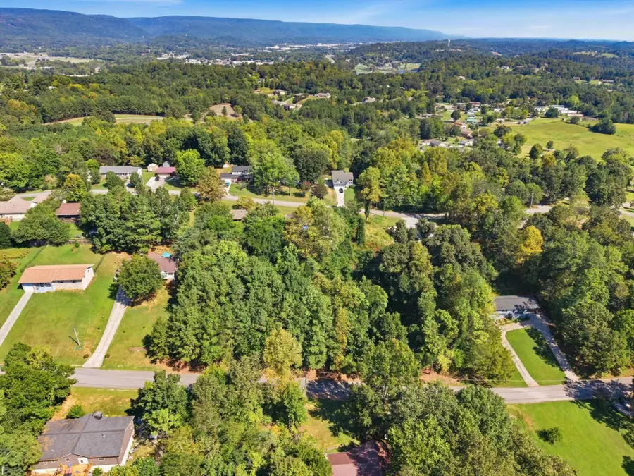 44 Troy Drive, Dayton, TN 37321 - #3