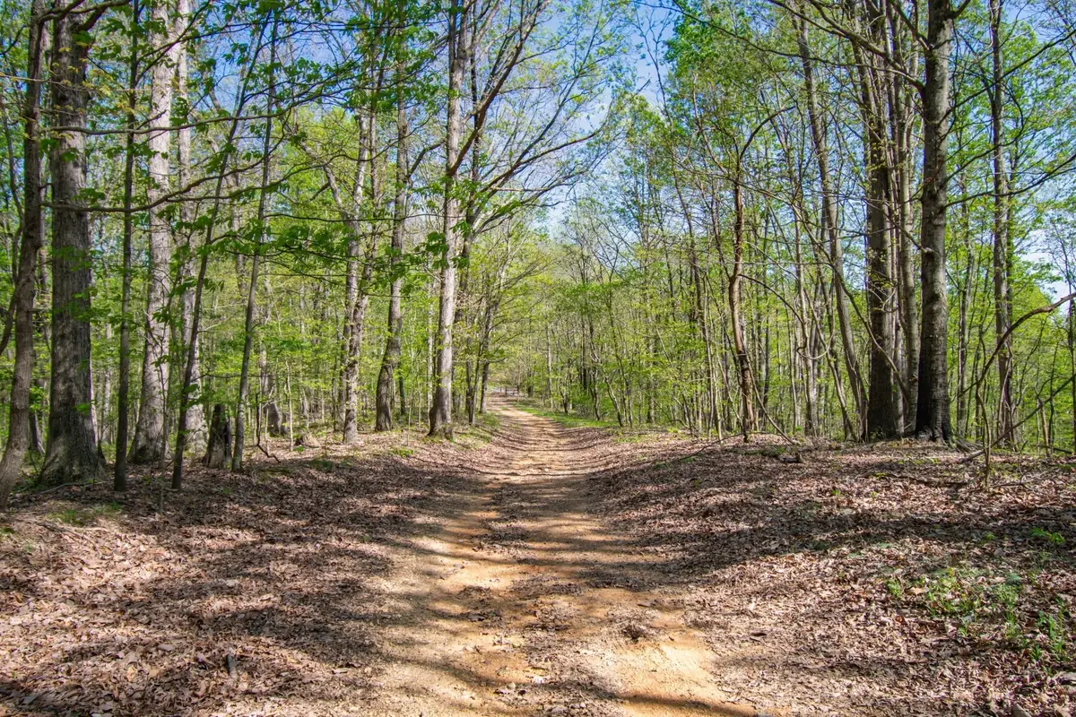 1555 Dog Hollow Road, Lynnville, TN 38472 - #1