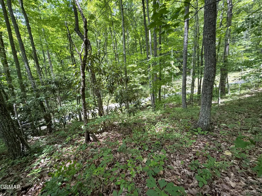 10 Swan Saddle, Sevierville, TN 37876 - #2