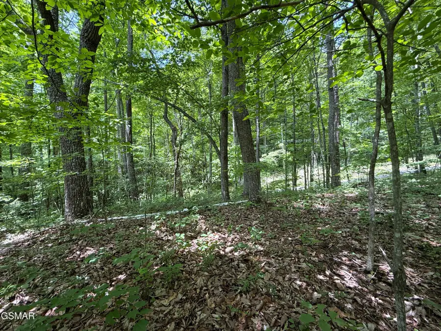 10 Swan Saddle, Sevierville, TN 37876 - #3