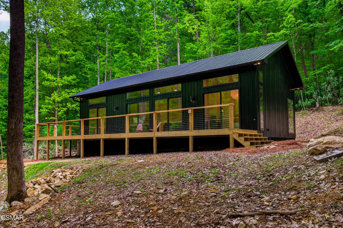 2799 Buckeye Drive, Cosby, TN 37722 - #1