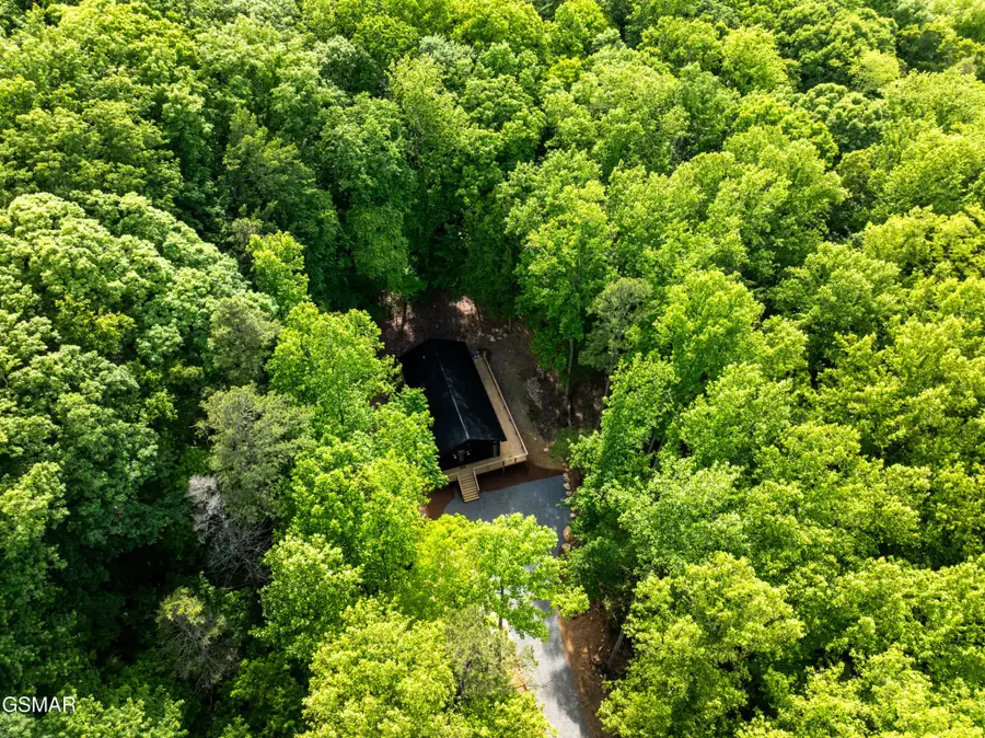 2799 Buckeye Drive, Cosby, TN 37722 - #3