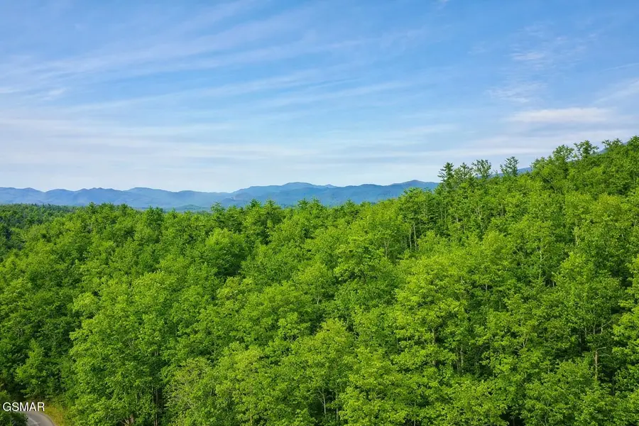 41 Black Maple Way, Del Rio, TN 37727 - #2