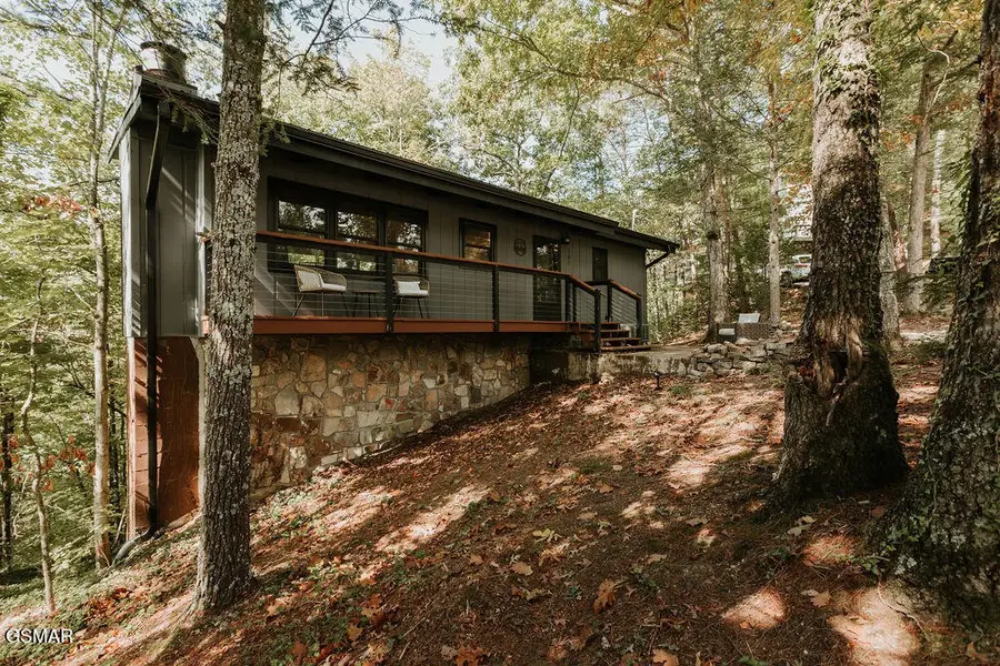 207 Cutter Gap Road, Townsend, TN 37882 - #3