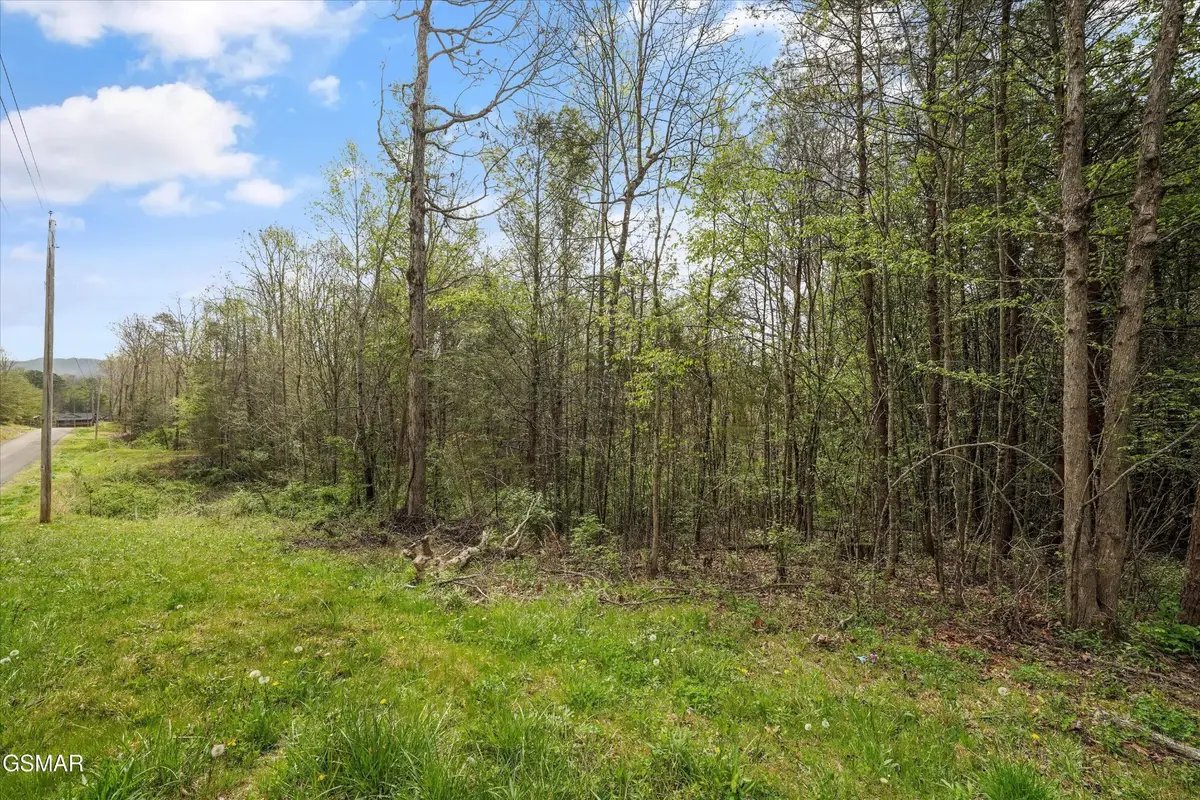 1433 Timber Trail, Newport, TN 37821 - #1