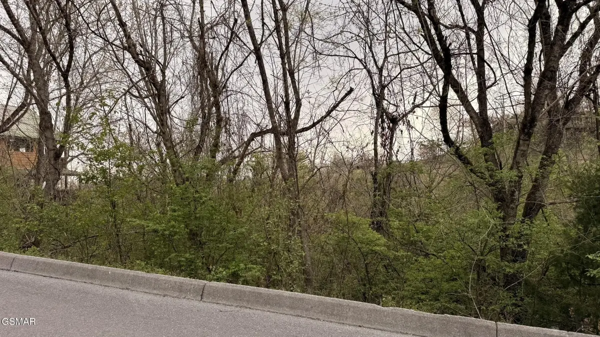 4 Hideaway Ridge Circle, Sevierville, TN 37862 - #1