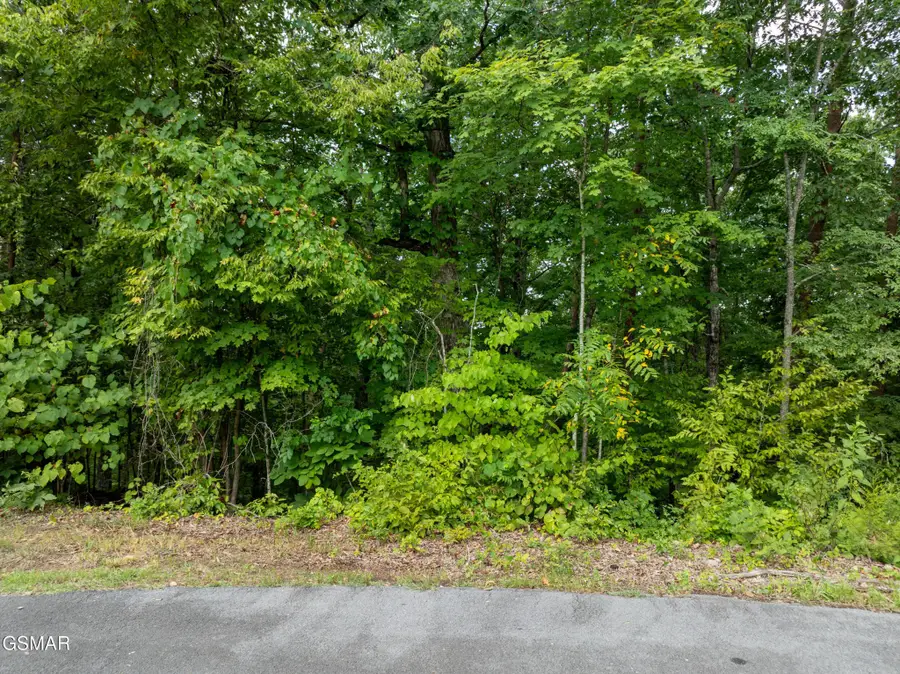 56 Blue Byrd Lane, Kodak, TN 37764 - #3