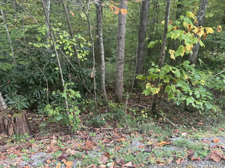 714 Pinnacle Vista Road, Gatlinburg, TN 37738 - #3
