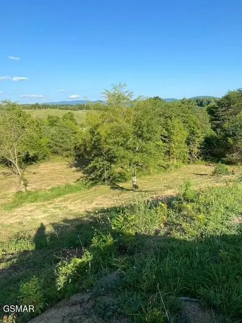 2644 East Flat Creek Boulevard, Sevierville, TN 37876 - #1