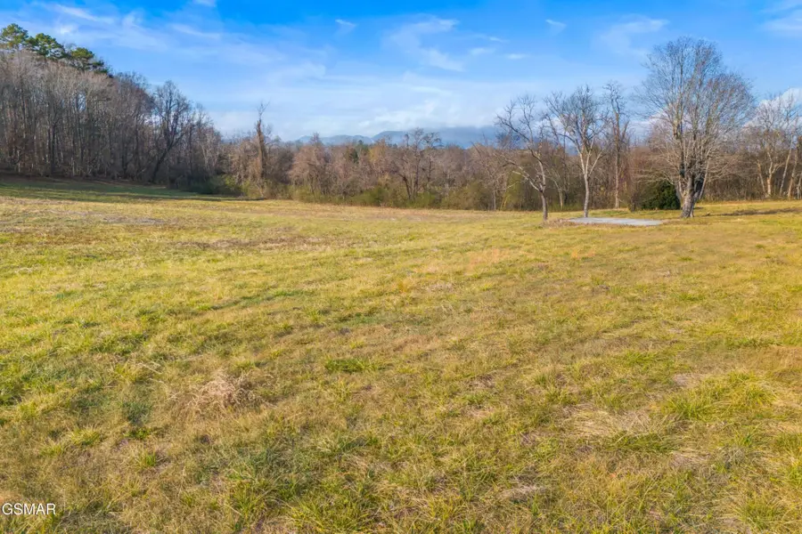 4121 Chavis Road, Cosby, TN 37722 - #3