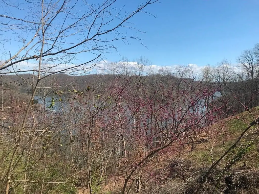 0 Marsh Road, Smithville, TN 37166 - #1