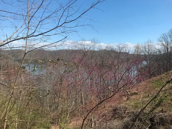 0 Marsh Road, Smithville, TN 37166