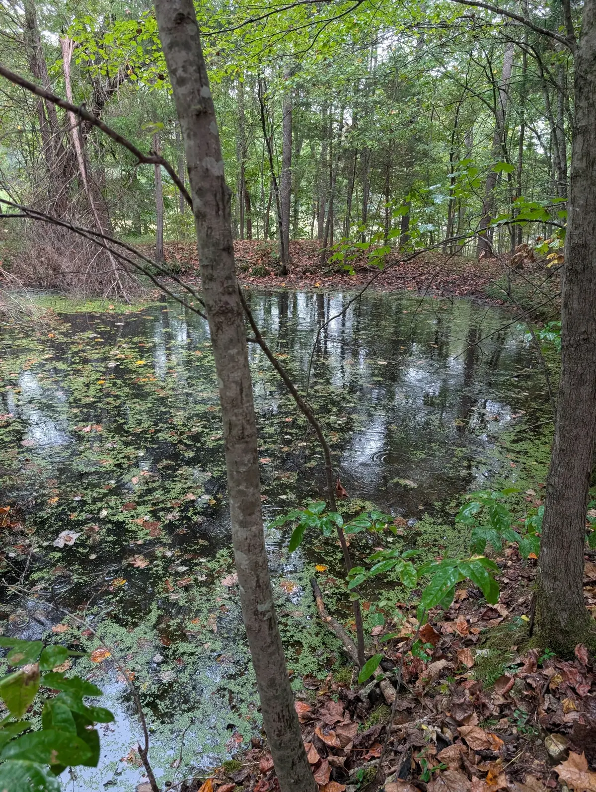 1260 Hillcrest Road, Dickson, TN 37055 - #1