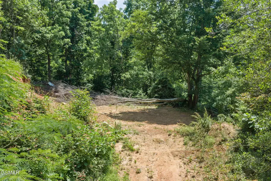 520 Verless Ogle Rd, Sevierville, TN 37876 - #2
