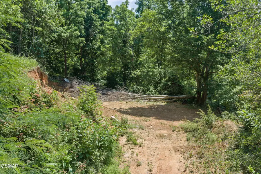 520 Verless Ogle Rd, Sevierville, TN 37876 - #3