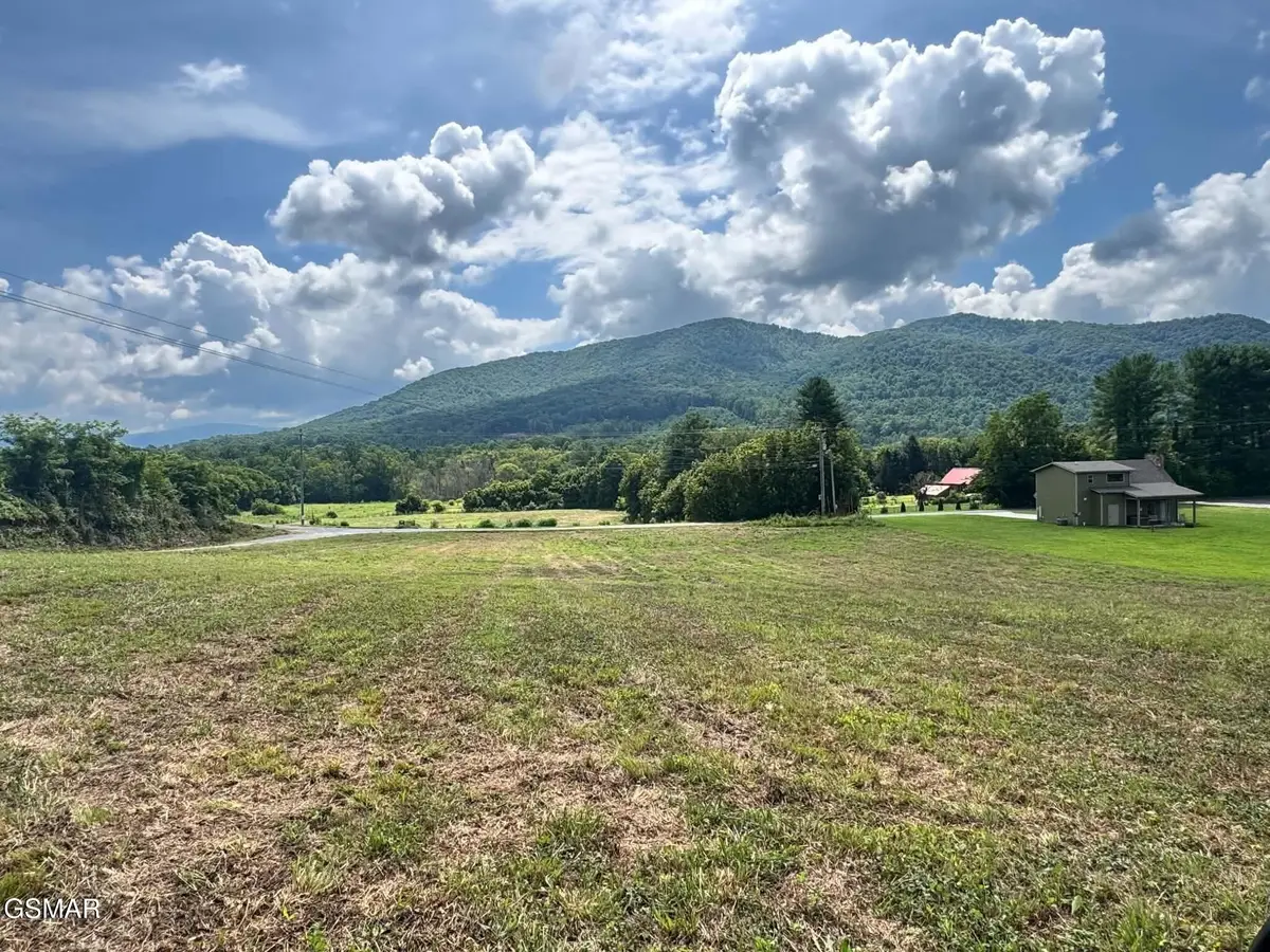 5420 Cocke County Line Road, Cosby, TN 37722 - #1
