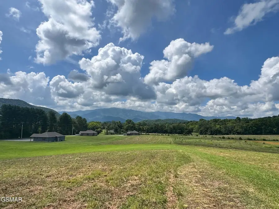 5420 Cocke County Line Road, Cosby, TN 37722 - #2