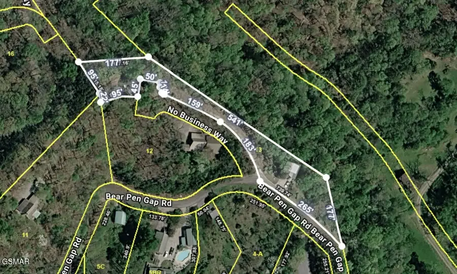 3520 Bear Pen Gap Road, Sevierville, TN 37876 - #2