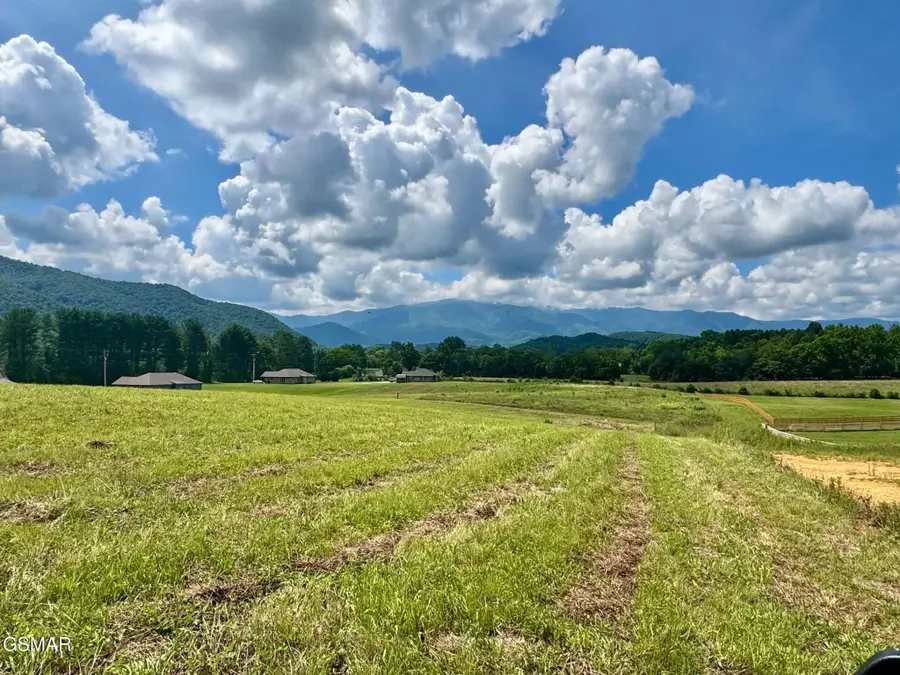 5418 Cocke County Line Road, Cosby, TN 37722 - #2