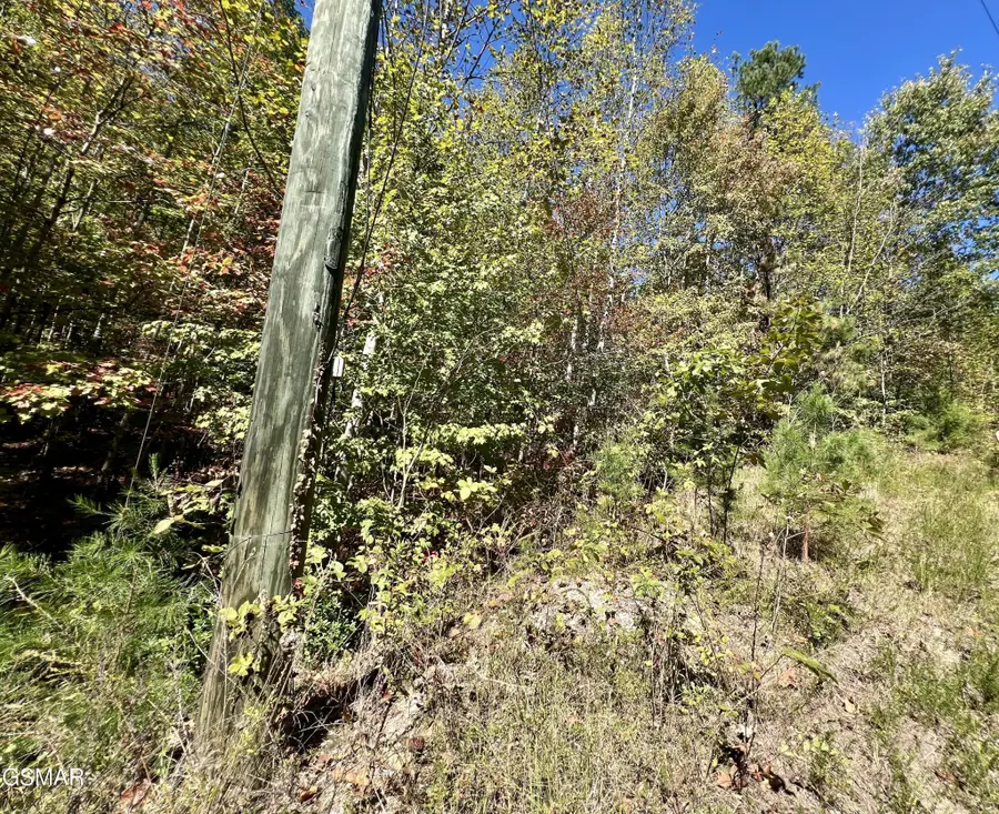 561 Creek Hollow Way, Sevierville, TN 37876 - #2