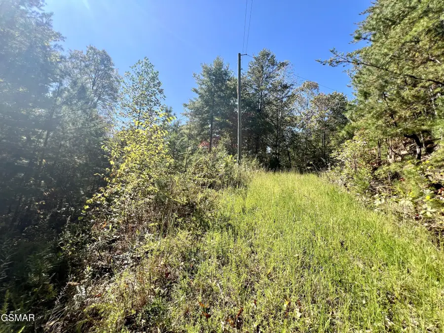 6 Creek Hollow Way, Sevierville, TN 37876 - #2