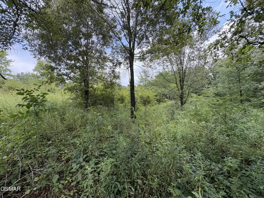 3 Midway Road, Strawberry Plains, TN 37871 - #3