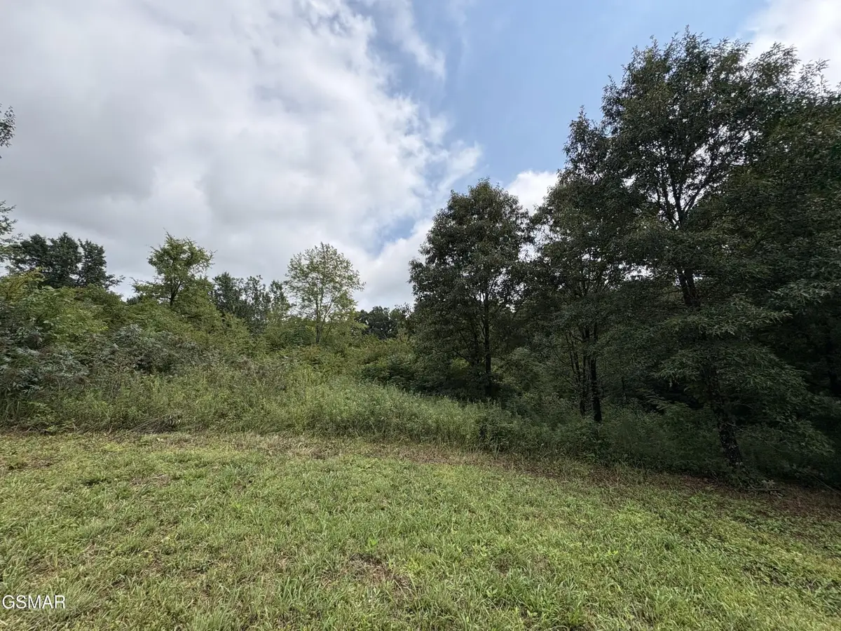34 Midway Road, Strawberry Plains, TN 37871 - #1