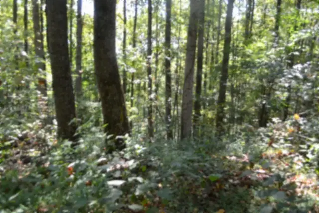 2121 Riley Creek Rd, Whitleyville, TN 38588 - #3