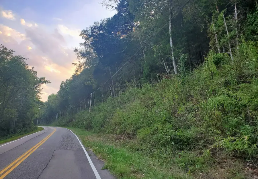 0 Club Springs Rd, Buffalo Valley, TN 38548 - #3