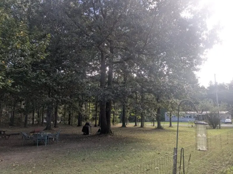 429 Crestview Loop, Crossville, TN 38571 - #3