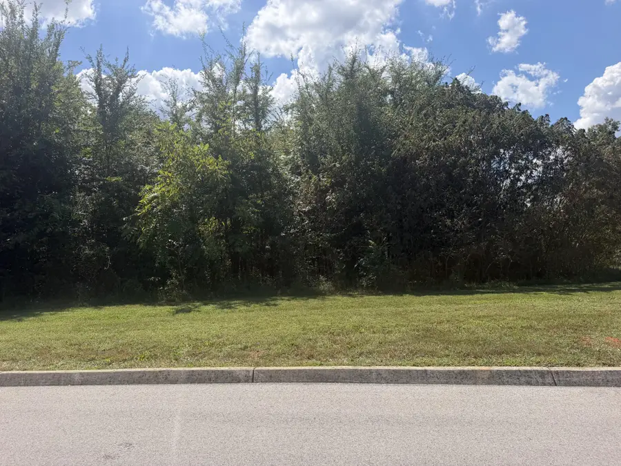 0 Falcon Trail, Vonore, TN 37885 - #3
