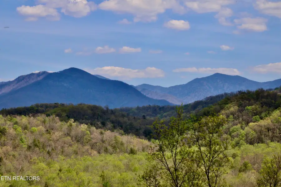 224 Woodland Rd #103, Gatlinburg, TN 37738 - #2
