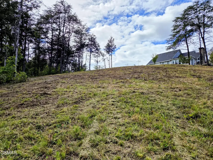 220 Pheasant Court, Sevierville, TN 37876 - #3