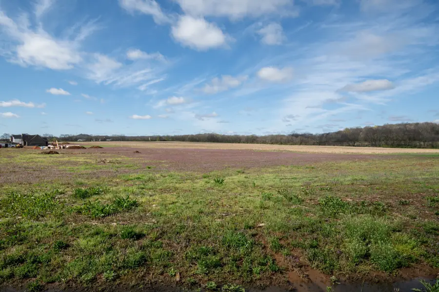 0 South Cross Bridges Road, Mount Pleasant, TN 38474 - #3