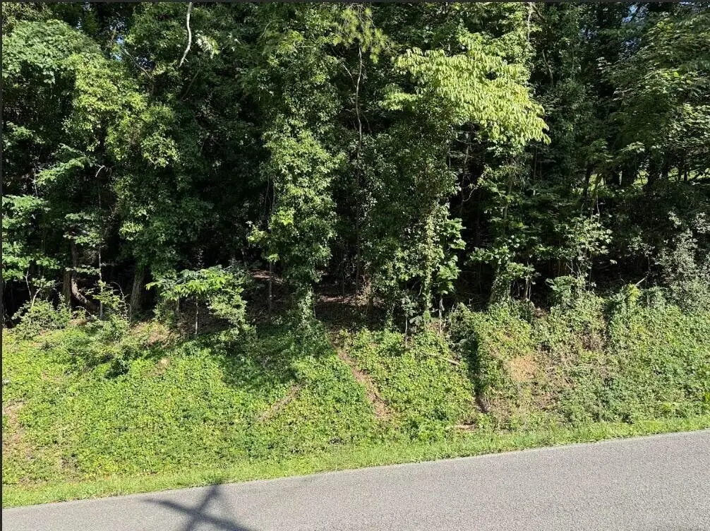 89 Edgewater Avenue, Dayton, TN 37321 - #1