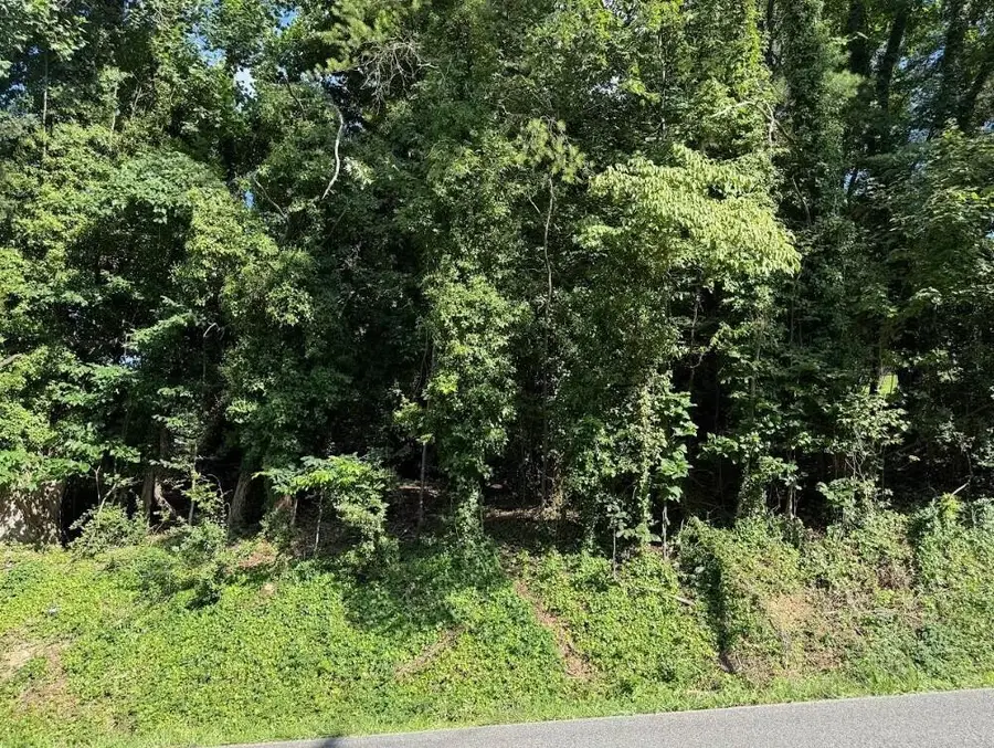 89 Edgewater Avenue, Dayton, TN 37321 - #2