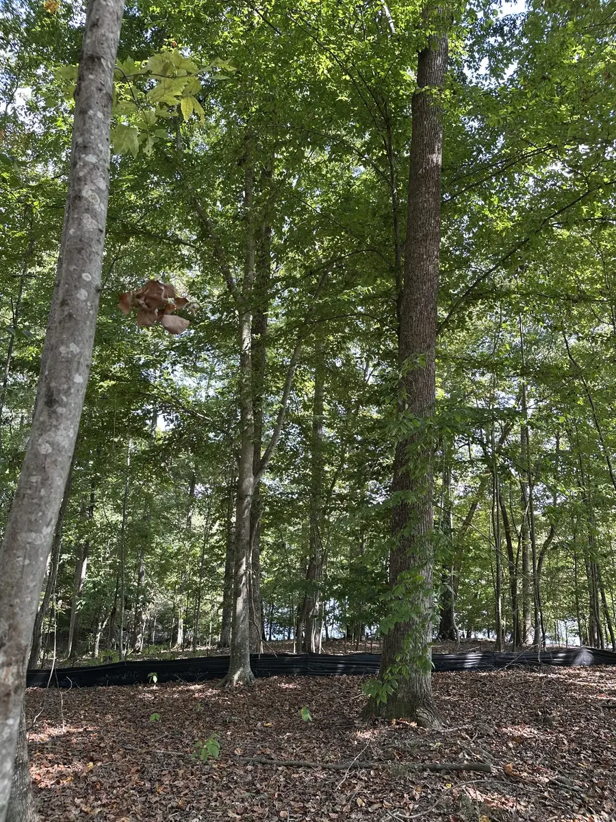 33 Heron Point, Tullahoma, TN 37388 - #3