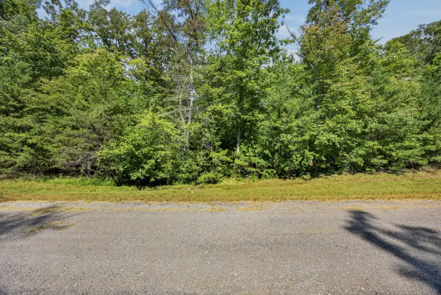 12 Mountain Ash Dr, Monterey, TN 38574 - #3