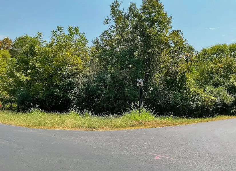 184 Noya Way, Loudon, TN 37774 - #1