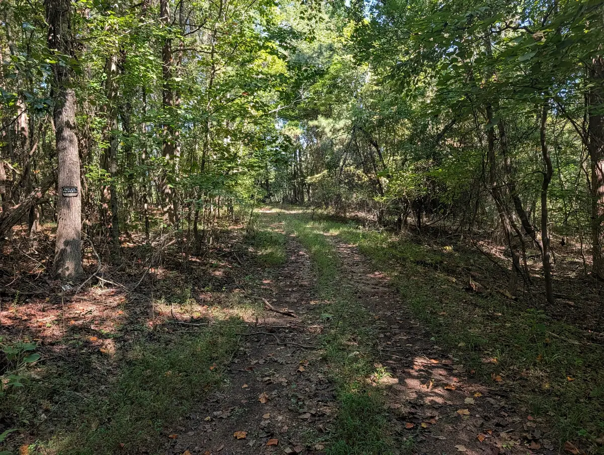665 Lakewood Village Rd, Spring City, TN 37381 - #1