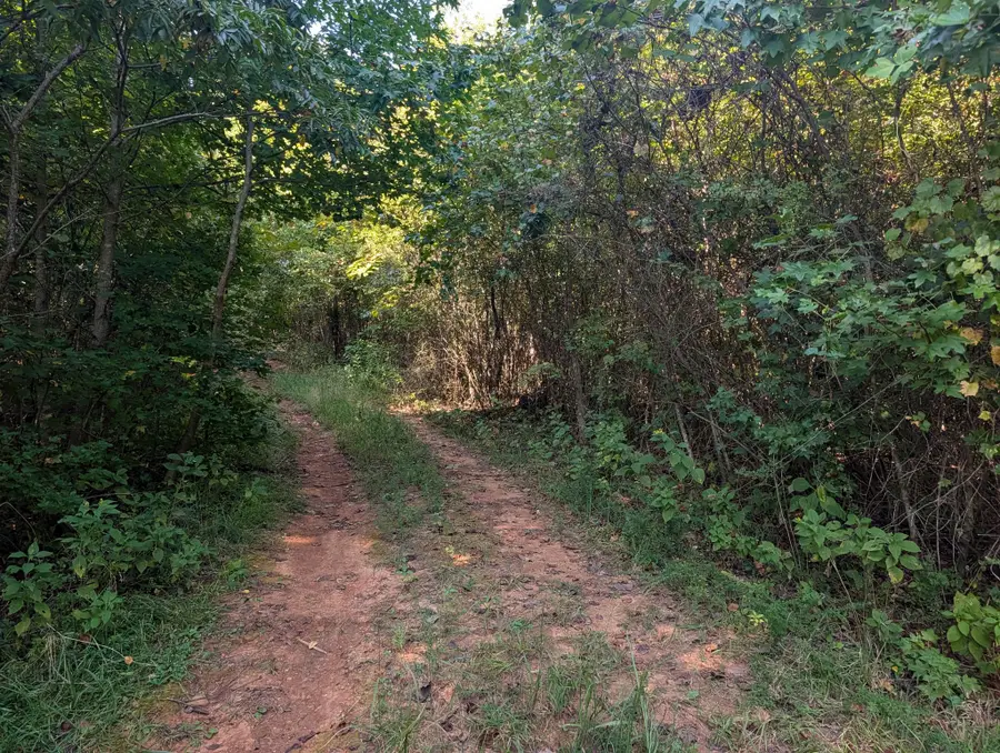 665 Lakewood Village Rd, Spring City, TN 37381 - #2