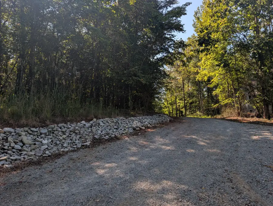 665 Lakewood Village Rd, Spring City, TN 37381 - #3