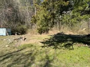 1779 Texas Grove Road, Evensville, TN 37332 - #3
